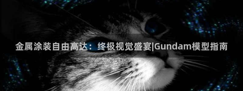 美高梅酒店拖鞋