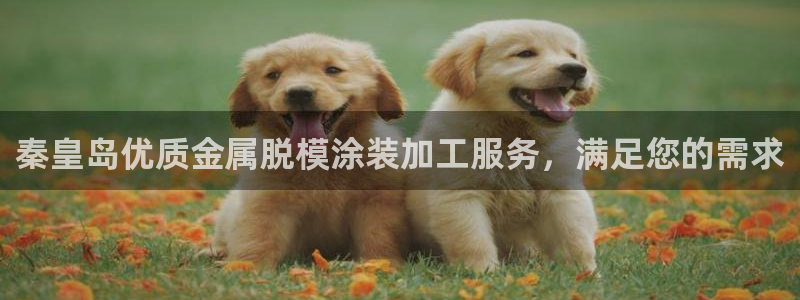 美高梅A p p怎么升级