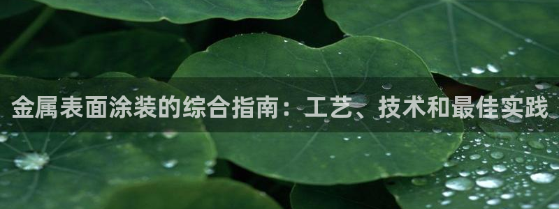美高梅是谁的?