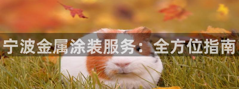 美高梅免费奶茶在哪