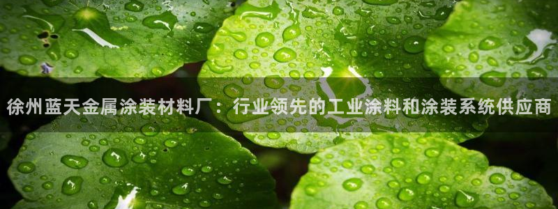 美狮美高梅酒店到官也街