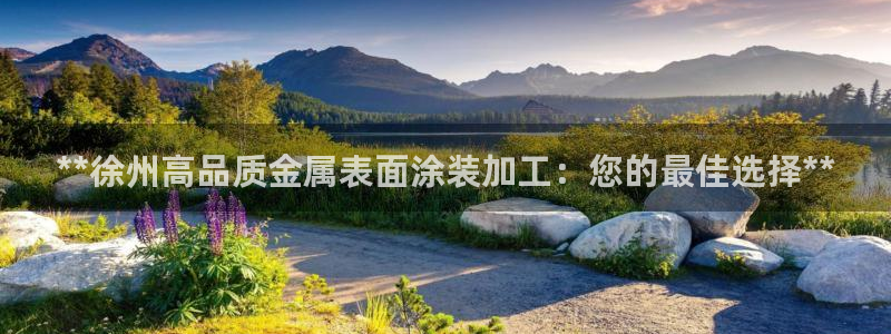 美高梅的狮子值多少钱