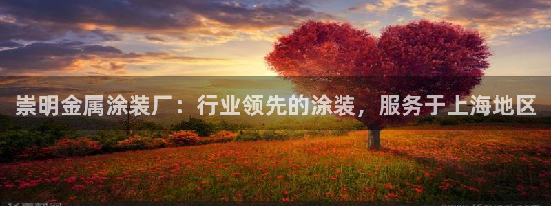 美高梅是个什么公司