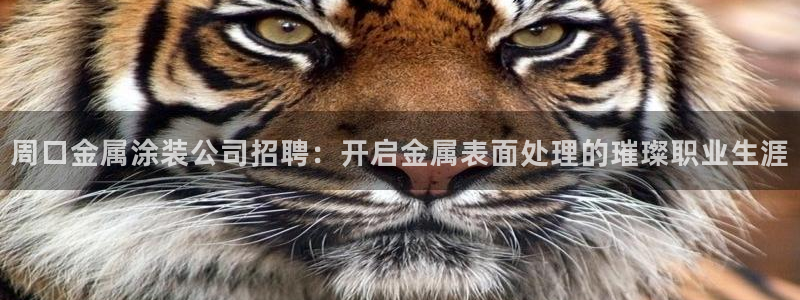 美高梅风水