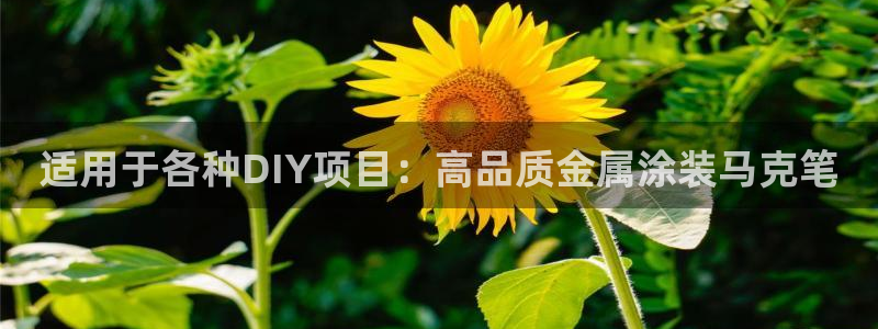 美高梅商业广场