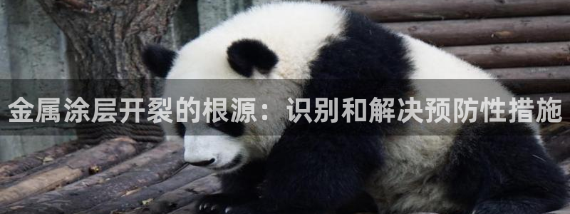 美高梅官网购票能用微信买吗