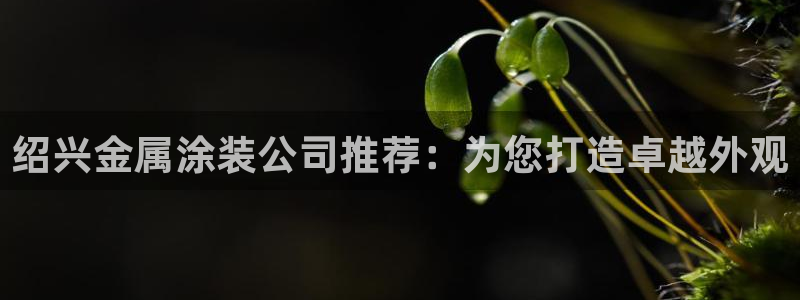 美高梅酒店品牌之夜