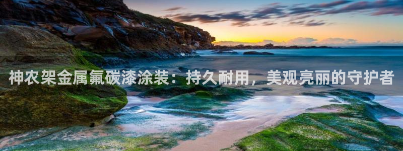 美高梅董事长
