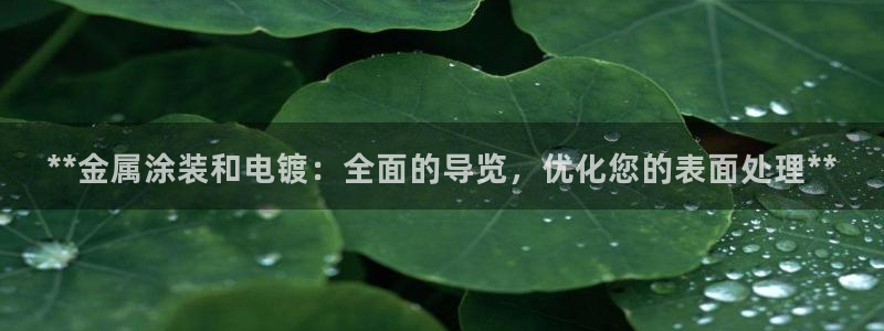 美高梅股票涨了多少