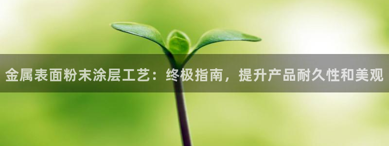 中国美高梅酒店有几家