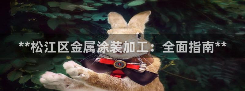 美高梅狮王卡值多少钱