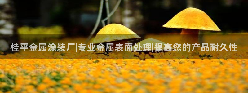 美高梅提不了款怎么办