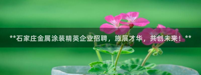 美高梅是美国的还是澳门的