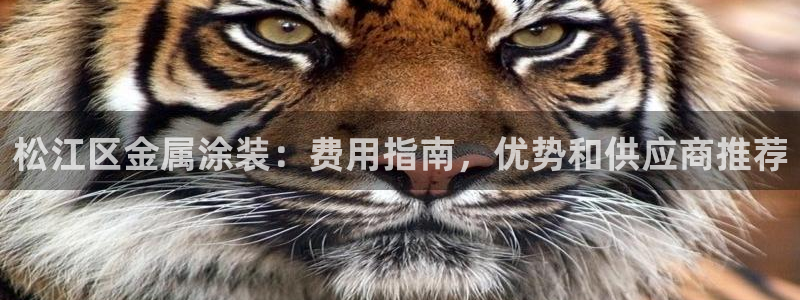 美狮美高梅酒店造价多少
