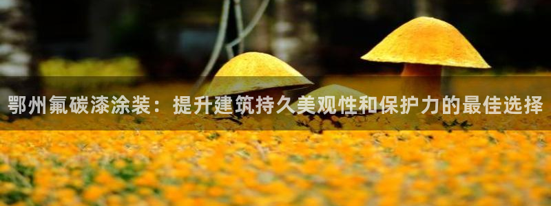 美高梅酒店是几星级