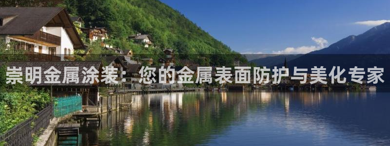 美高梅股票中国净资产多少