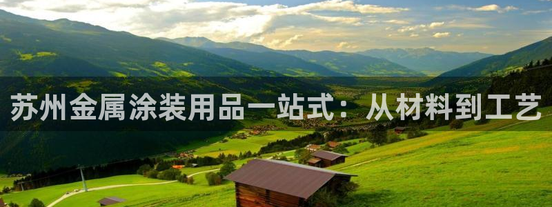 何超琼美高梅国际集团