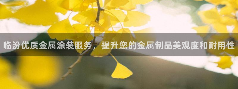 美狮美高梅酒店双尸案