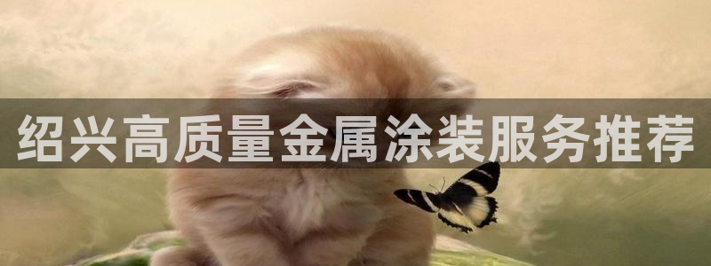 美高梅酒店有什么好玩的