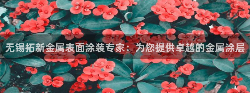 美高梅有提现成功的吗