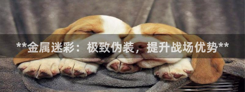 美高梅奶茶多少钱一杯