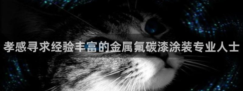 美高梅空中海洋秀是免费的吗