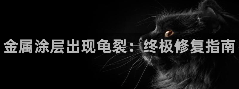 鲁能钓鱼台美高梅loft