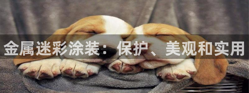 美高梅空中海洋秀是免费的吗