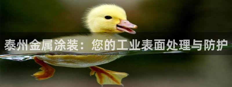 美狮美高梅酒店积分换房