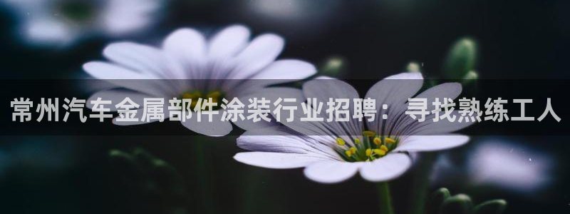 美高梅酒店标志