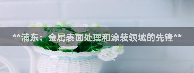 美高梅别墅是精装吗还是毛坯