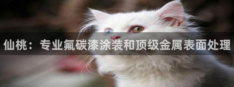 美高梅矿泉水多少钱一瓶
