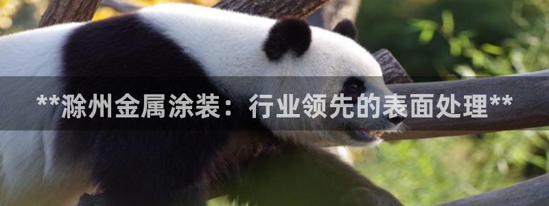 美高梅老板叫什么