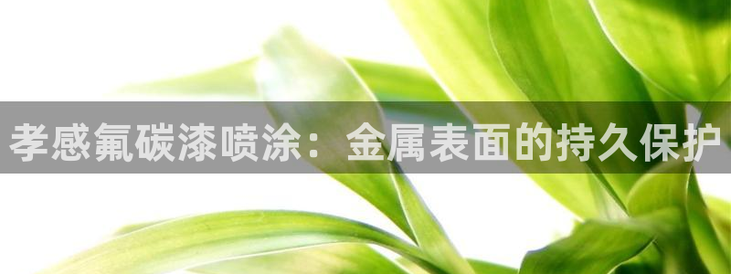 美高梅酒店自助