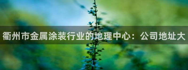 美高梅酒店床垫是什么品牌