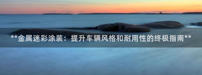 美高梅堵场是谁的