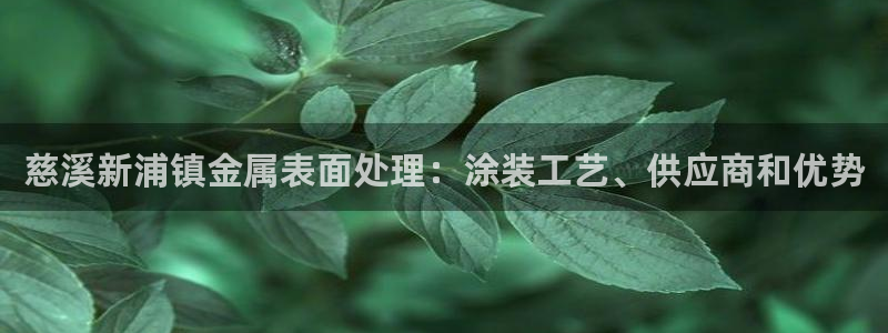 美高梅酒店投资多少钱
