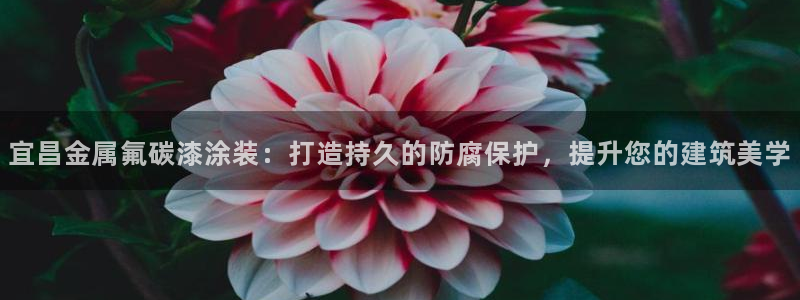美高梅是美国的还是澳门的