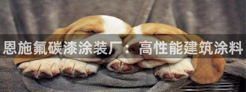 美高梅有私人沙滩吗
