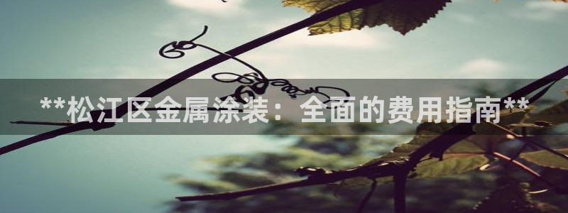 美狮美高梅酒店到官也街