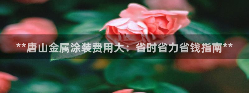 美高梅中国股吧