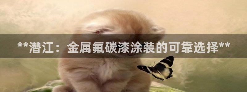 美狮美高梅酒店港澳快线