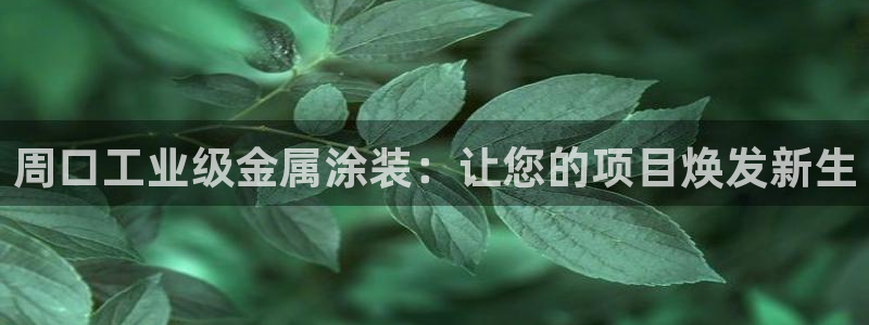 美高梅北京国际文化旅游发展有限公司官网