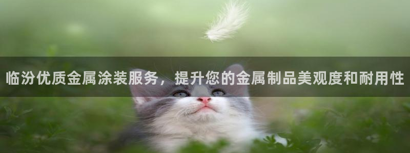 美狮美高梅酒店到官也街