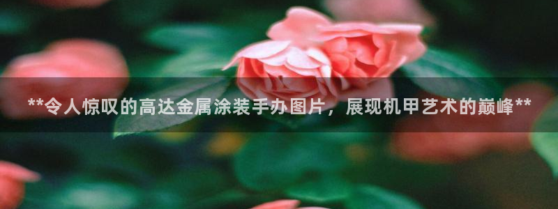 美高梅酒店集团简介