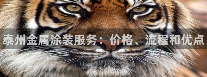 美高梅品牌