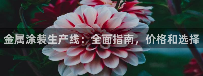 美高梅会员卡怎么办理的