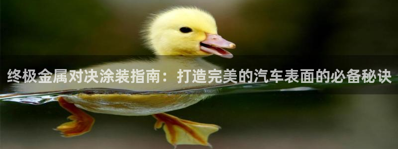 美狮美高梅酒店发财车