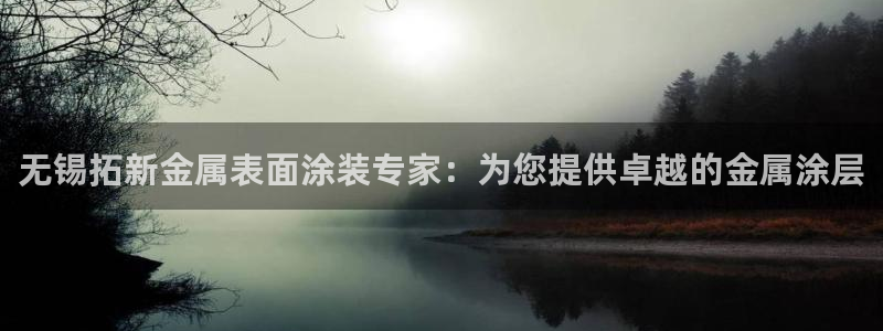 美高梅全球几家