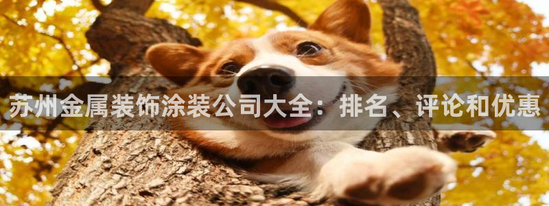 美高梅会员卡级别分类图片